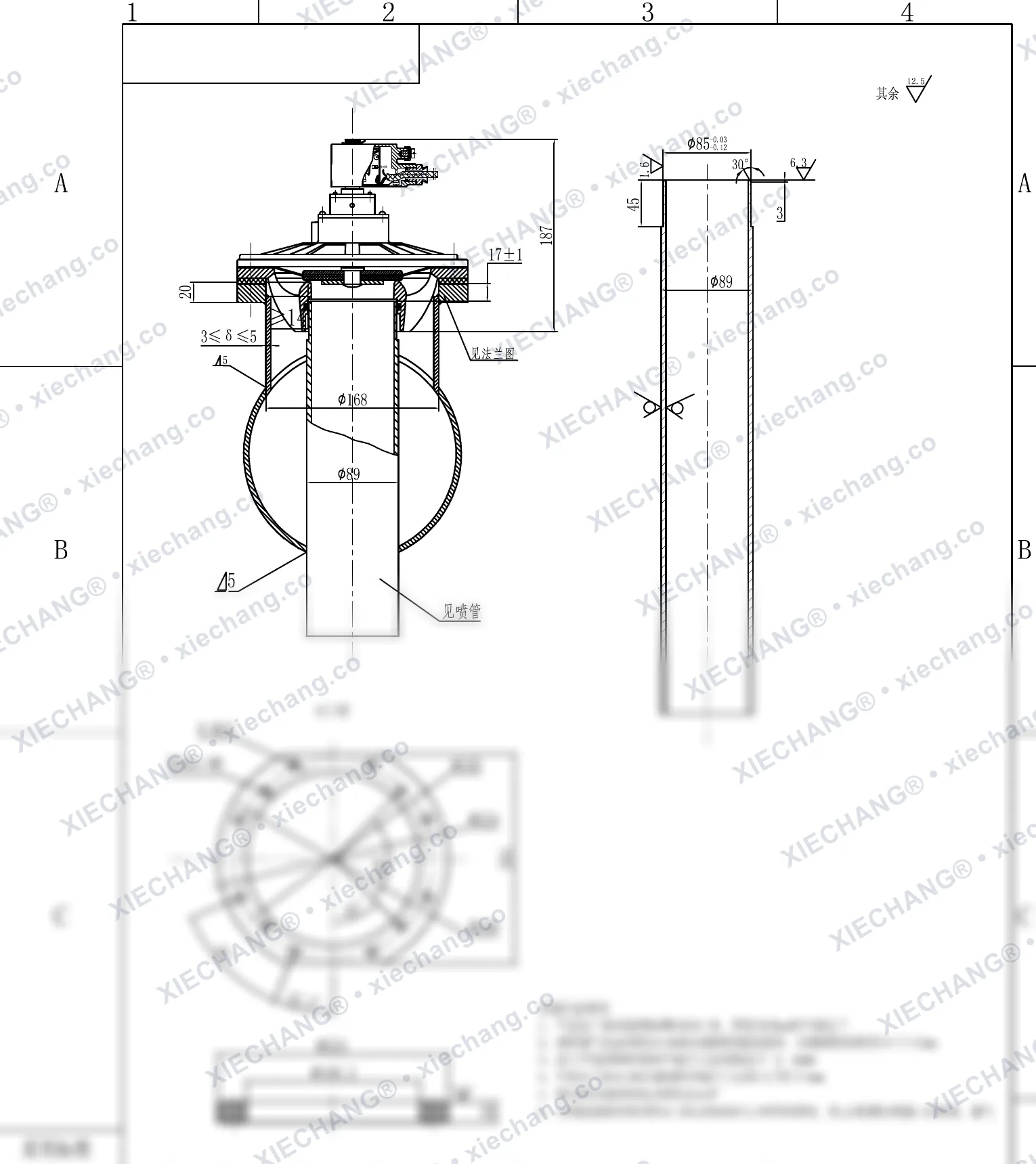 DMY-F-II-80 · DN80 (3") · patlamaya dayanıklı daldırmalı darbeli valf (püskürtme borusu / ara bölme flanşı ile) — Montaj Çizimi